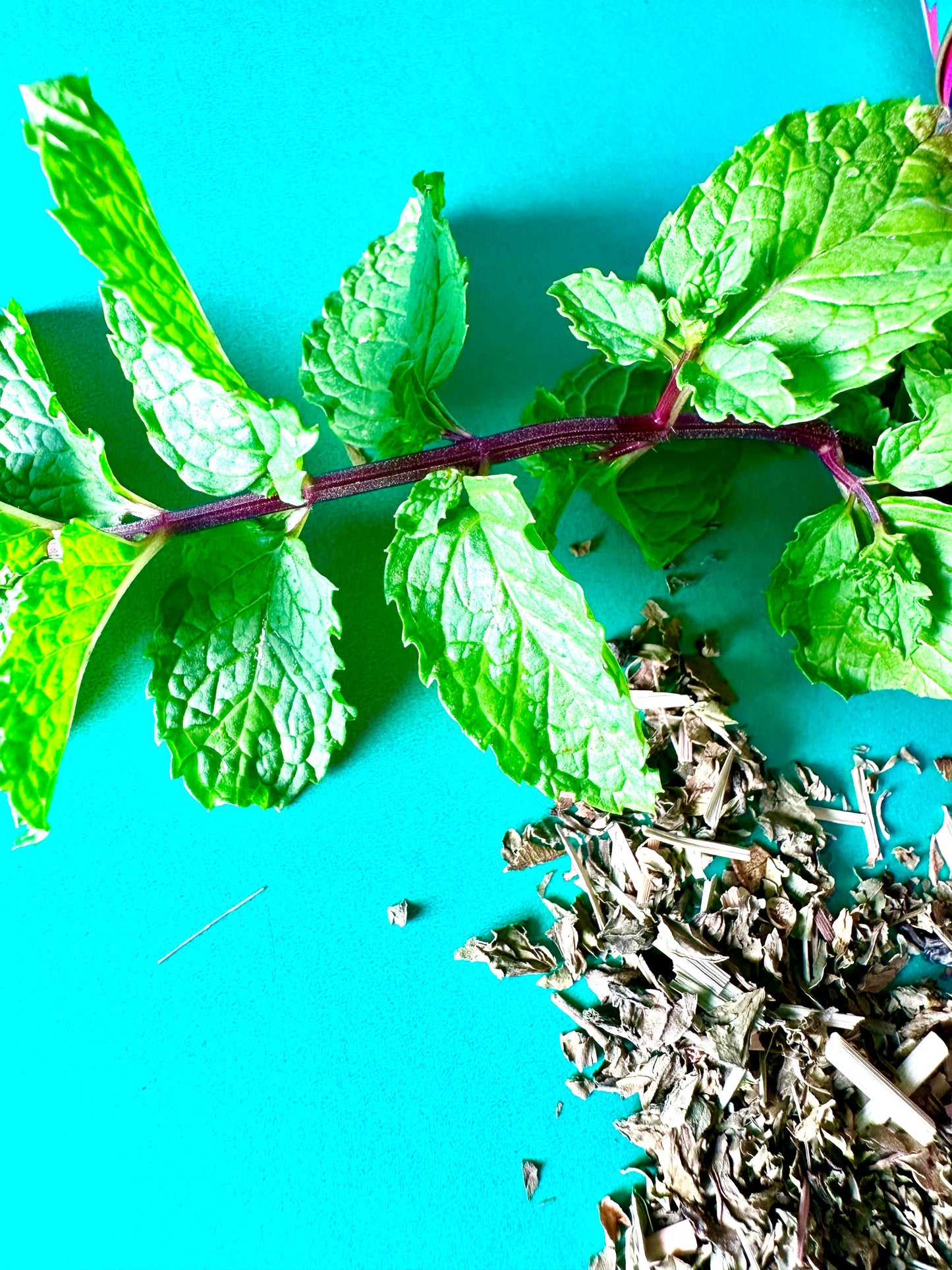 Organic Cool Mint Tea