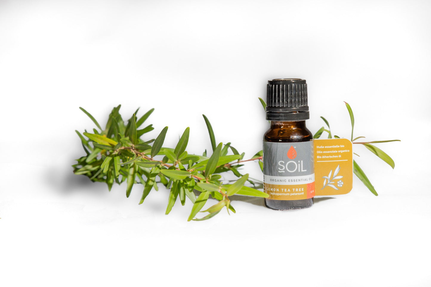 Organic Lemon Tea Tree Essential Oil (Leptospermum Petersonii)
