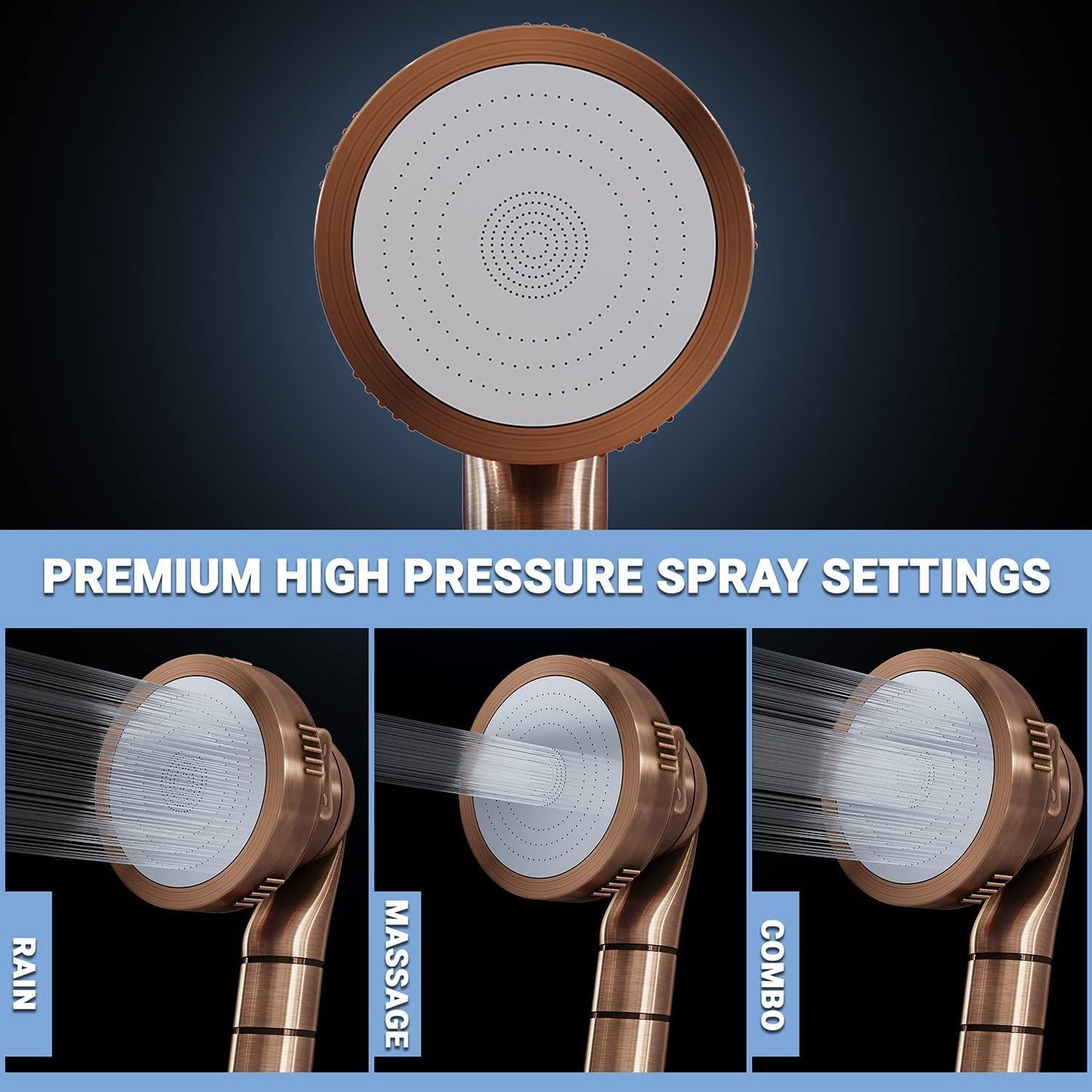 Luxury Filtered Shower Head with Handheld Hose