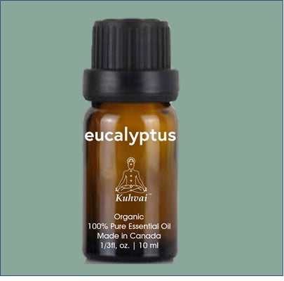 Kuhvai Organic Eucalyptus Essential oil